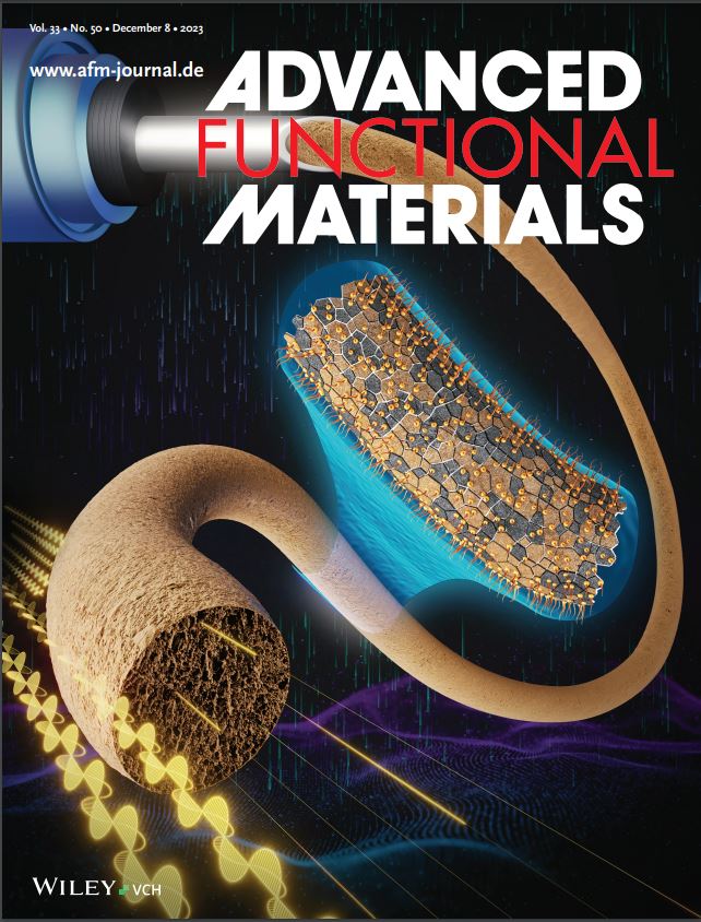 The cover of the December 2023 edition of Advanced Functional Materials