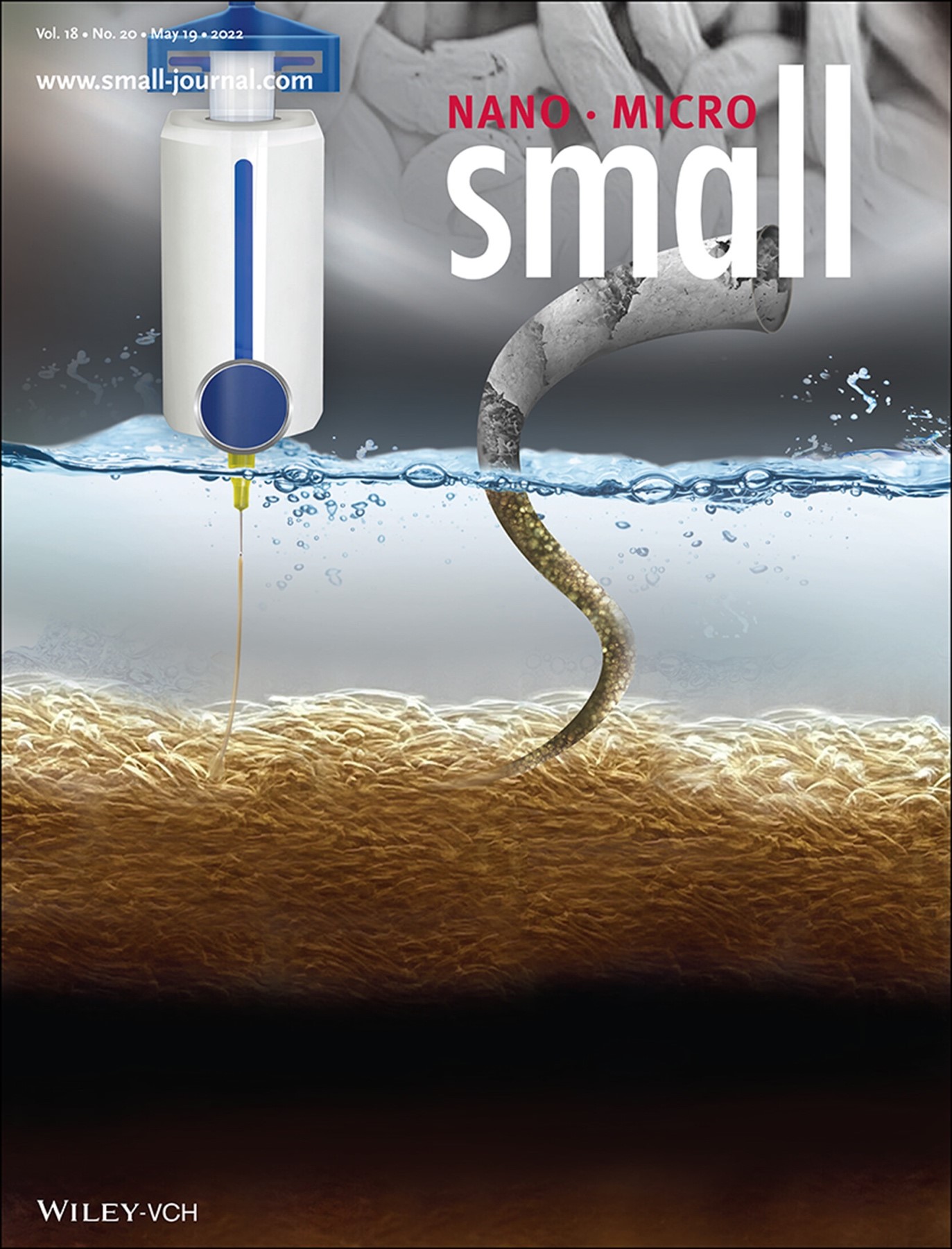 The cover of the May 19th 2022 edition of Nano Micro Small journal